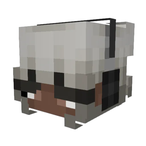 viviann444 Minecraft avatar head, 3D render