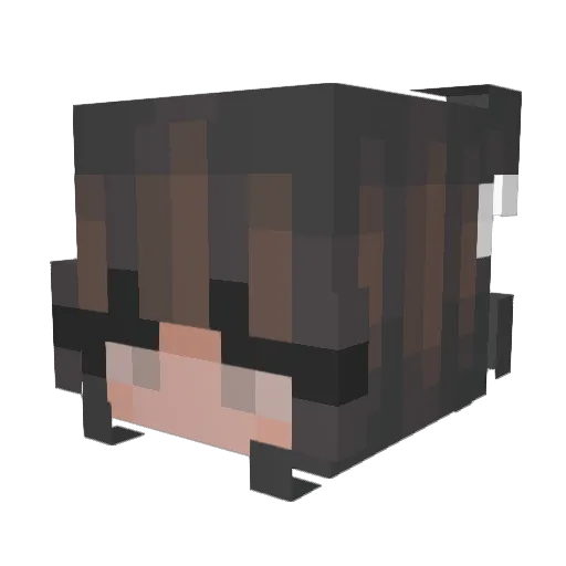vividness7070 Minecraft avatar head, 3D render