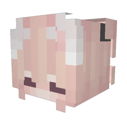 vivionuwu Minecraft avatar head, 3D render
