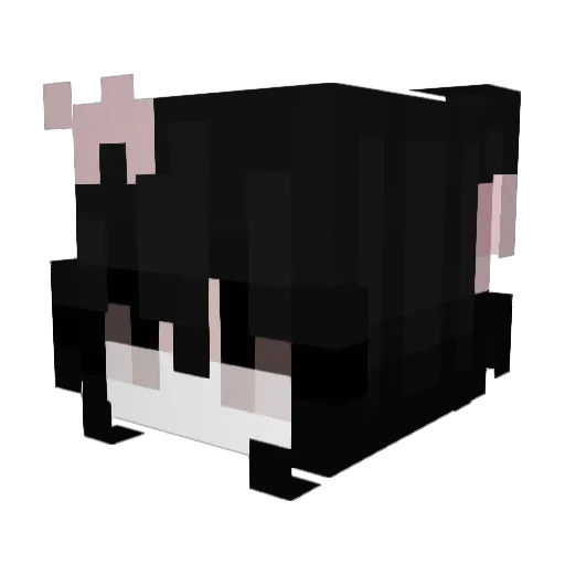 vivirosi3 Minecraft avatar head, 3D render