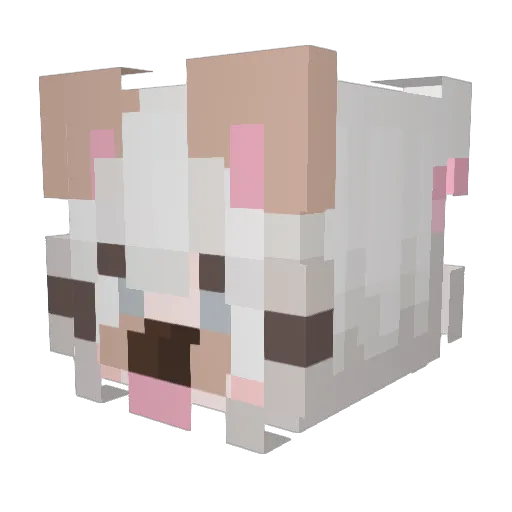 viviscoool Minecraft avatar head, 3D render