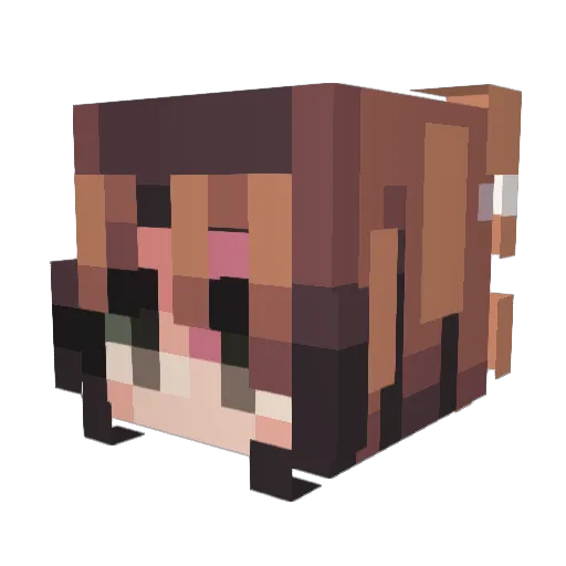 vivixeen Minecraft avatar head, 3D render