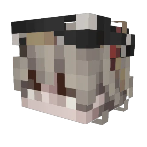 vivixz Minecraft avatar head, 3D render