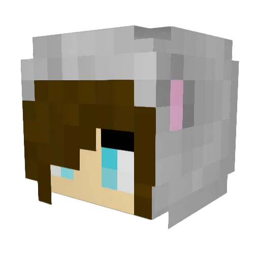 vivslays Minecraft avatar head, 3D render
