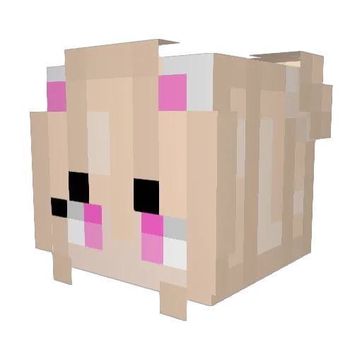 vivxxo Minecraft avatar head, 3D render
