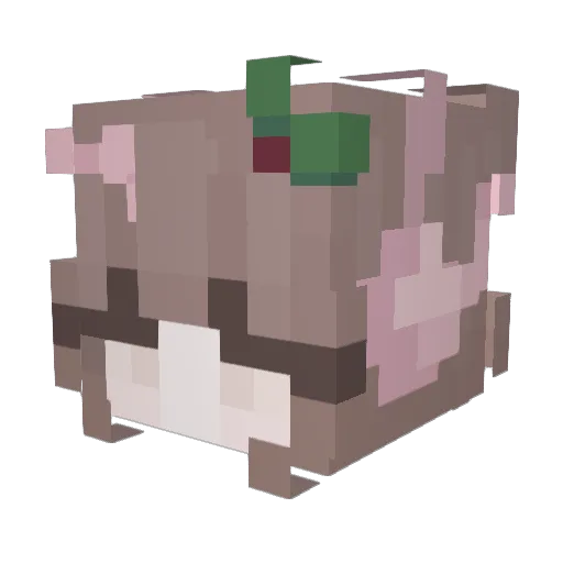 viwals Minecraft avatar head, 3D render