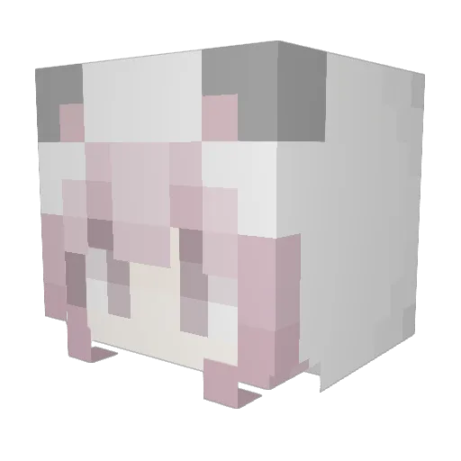 vixei Minecraft avatar head, 3D render