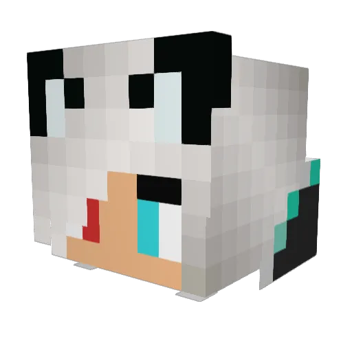 vixen__fox Minecraft avatar head, 3D render