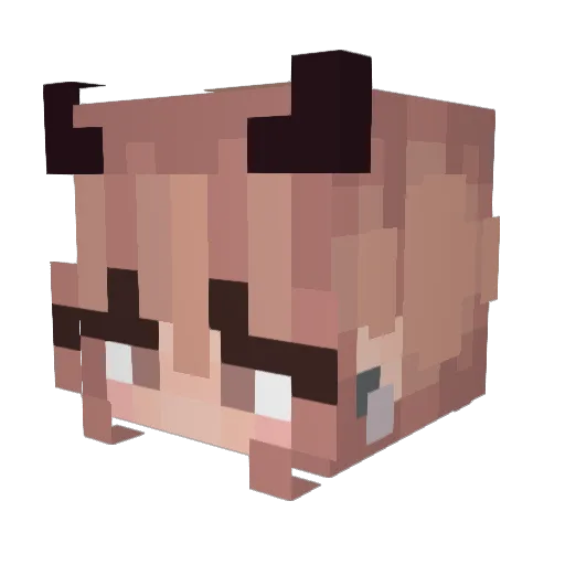 vixeycat Minecraft avatar head, 3D render