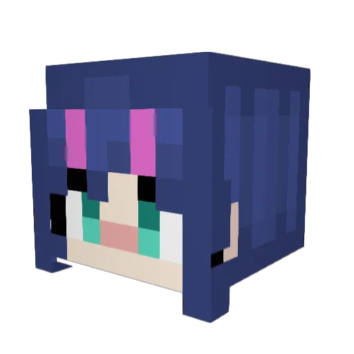 vixi0n5 Minecraft avatar head, 3D render
