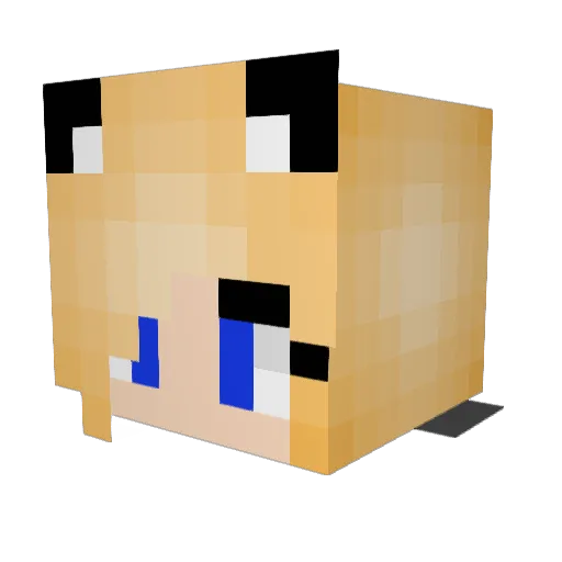 vixie360 Minecraft avatar head, 3D render