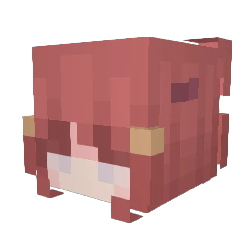 vixinummi Minecraft avatar head, 3D render