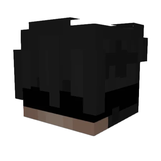 vixx21 Minecraft avatar head, 3D render