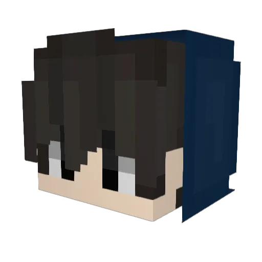 vizialim Minecraft avatar head, 3D render
