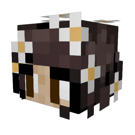 vjeulen Minecraft avatar head, 3D render