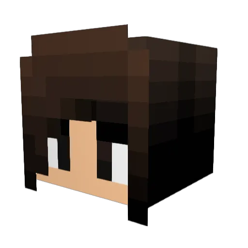 vjr16 Minecraft avatar head, 3D render