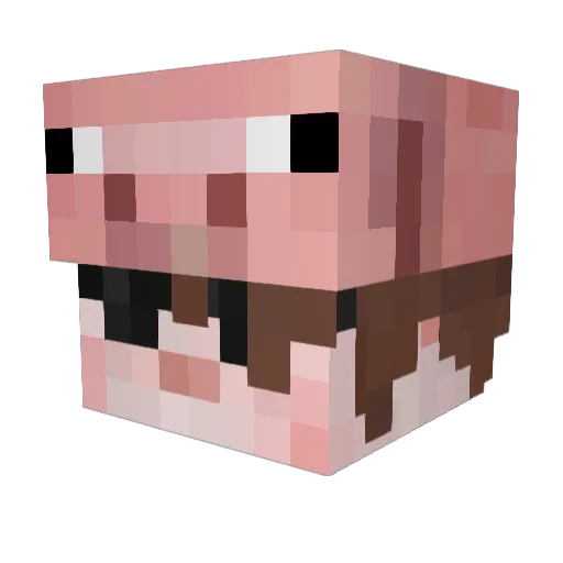 vladick22808 Minecraft avatar head, 3D render