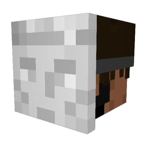 vlasta528 Minecraft avatar head, 3D render