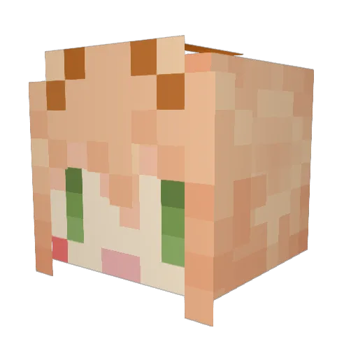 vlinass Minecraft avatar head, 3D render
