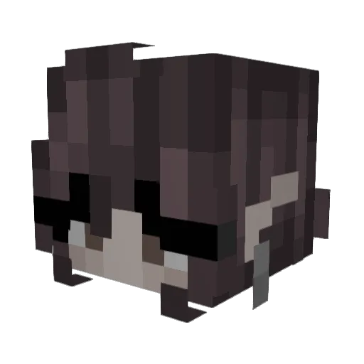vloekv00 Minecraft avatar head, 3D render
