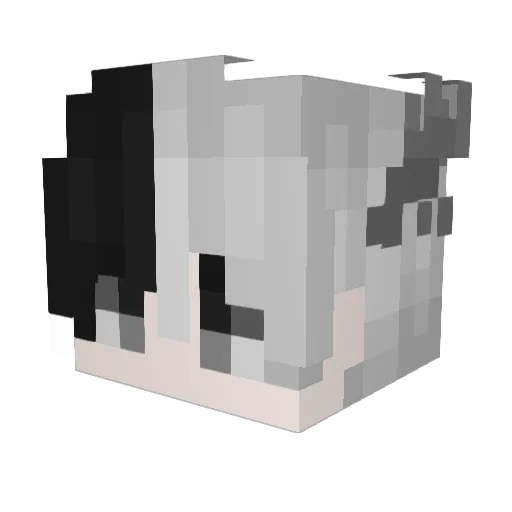 vlokfeest Minecraft avatar head, 3D render