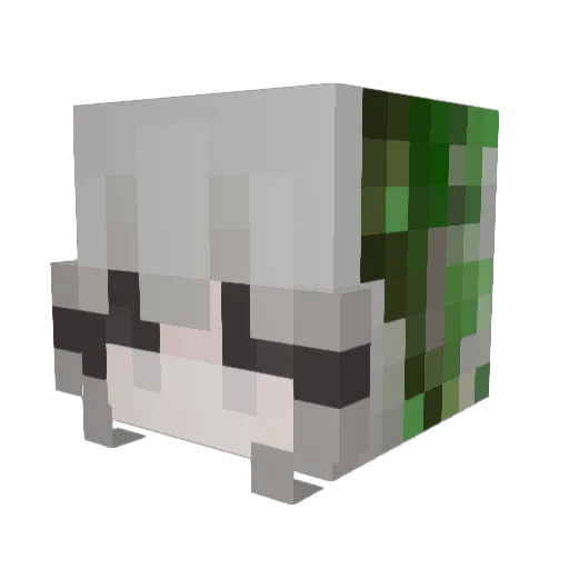 vlowerss Minecraft avatar head, 3D render
