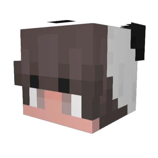 vlrio_ Minecraft avatar head, 3D render