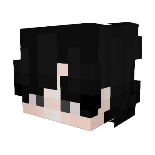 vltr Minecraft avatar head, 3D render