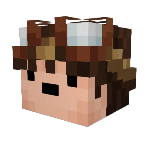 vmh20 Minecraft avatar head, 3D render