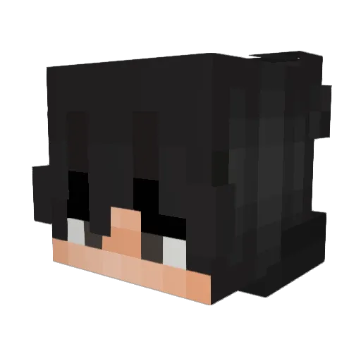 vmsn Minecraft avatar head, 3D render