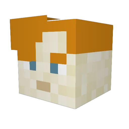 vnae Minecraft avatar head, 3D render