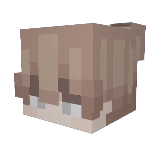 vnloved Minecraft avatar head, 3D render