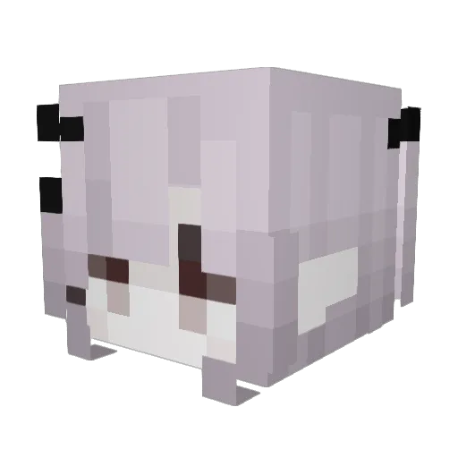 vnmpiric Minecraft avatar head, 3D render