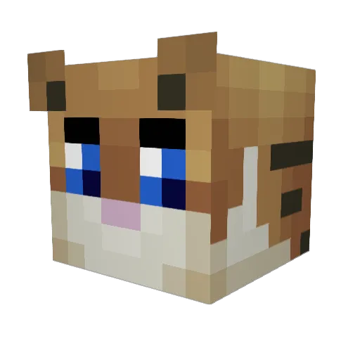 vnmvalentin Minecraft avatar head, 3D render