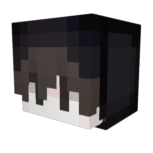 vnorth Minecraft avatar head, 3D render