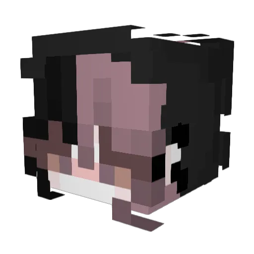 vnysza Minecraft avatar head, 3D render