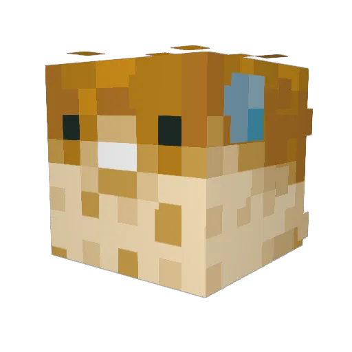 vo1dsquid Minecraft avatar head, 3D render