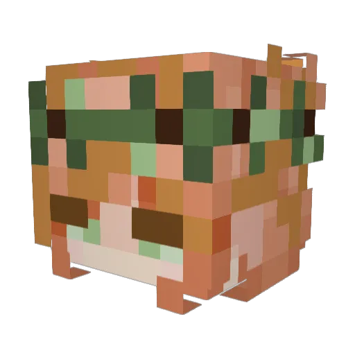 vo1dx2 Minecraft avatar head, 3D render