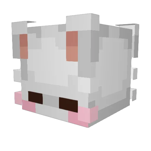 vocal0idcat Minecraft avatar head, 3D render