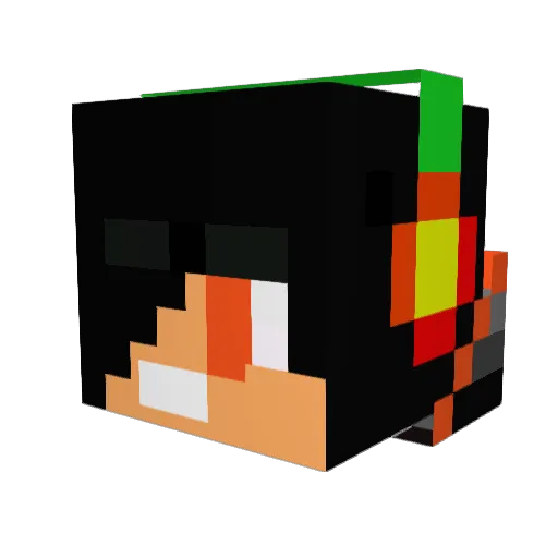 vocalpanic64462 Minecraft avatar head, 3D render