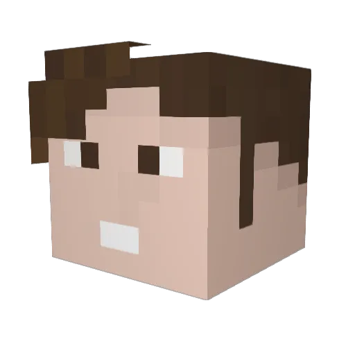vogeldm Minecraft avatar head, 3D render
