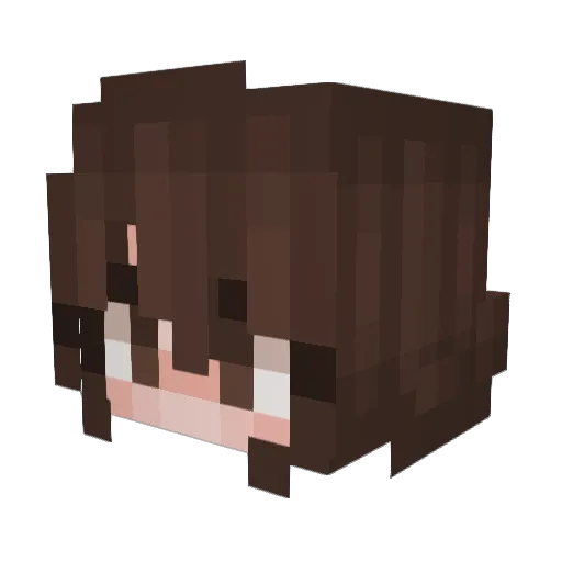 vogeln Minecraft avatar head, 3D render
