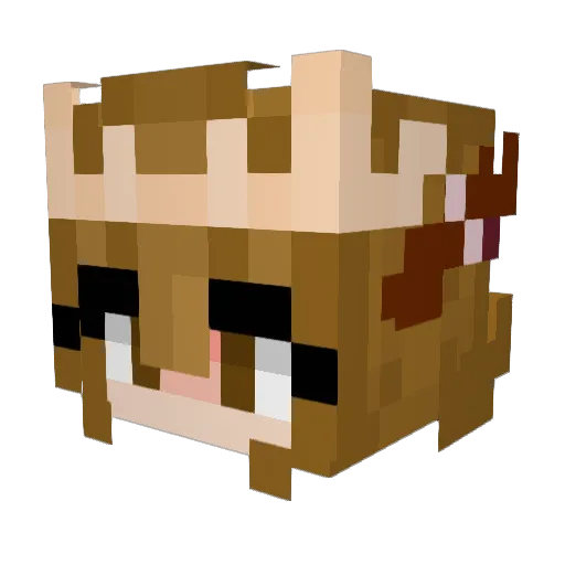 voices45 Minecraft avatar head, 3D render