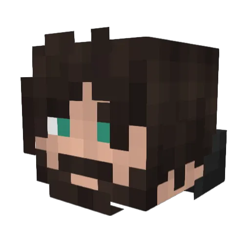 void4ever Minecraft avatar head, 3D render