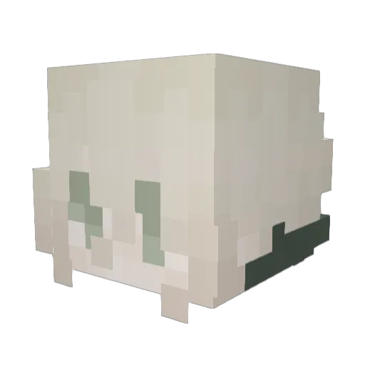 voidGone Minecraft avatar head, 3D render