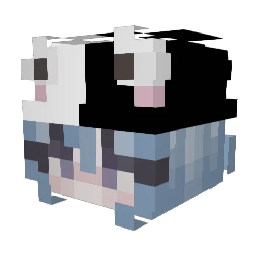 void_boy Minecraft avatar head, 3D render