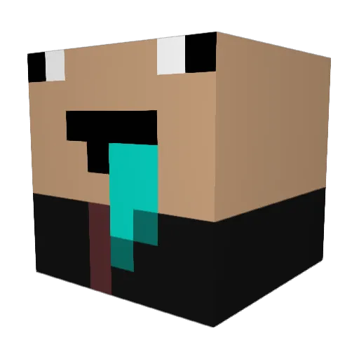 void_sparkle Minecraft avatar head, 3D render