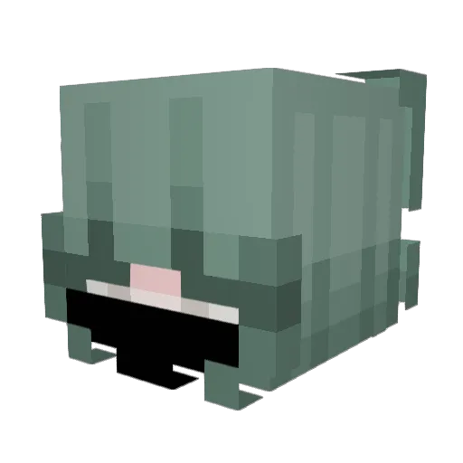 voiddspiritt Minecraft avatar head, 3D render