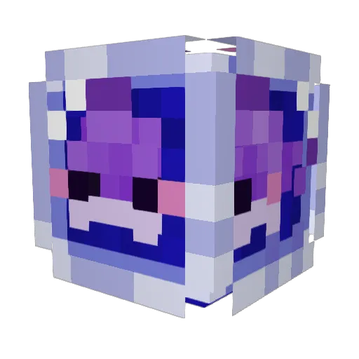voidfins Minecraft avatar head, 3D render