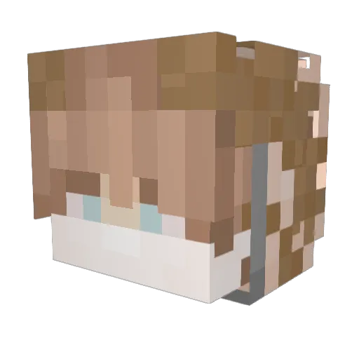 voidfxker Minecraft avatar head, 3D render